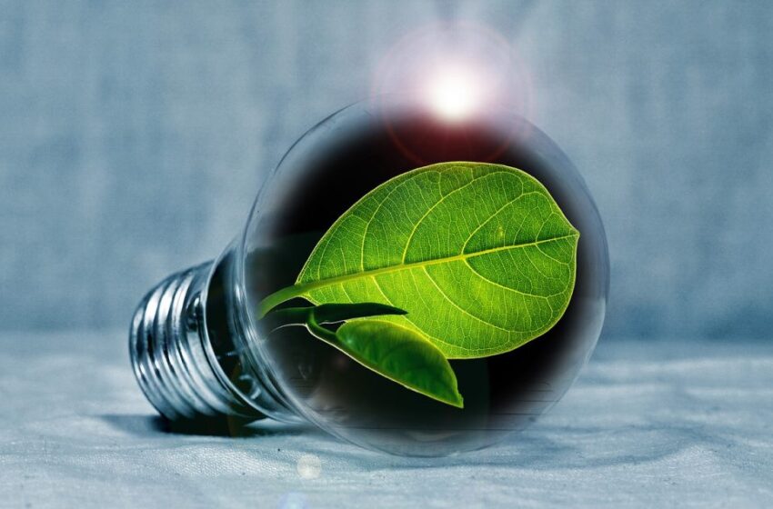  Studio crisi energetica: “Avrà impatto su ripresa economica”