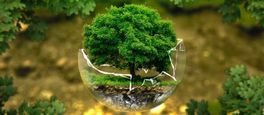  Nasce Deloitte Climate & Sustainability