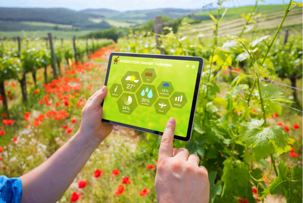 ITALIA ECONOMY - Agricook Smart Farming - l'agricoltura diventa Smart