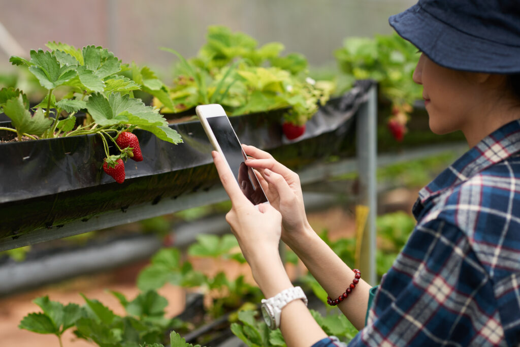 ITALIA ECONOMY - Nuove tecnologie nel settore agricolo