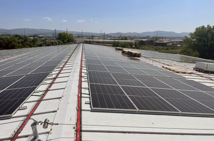  Greenvolt per LOGIFRIO