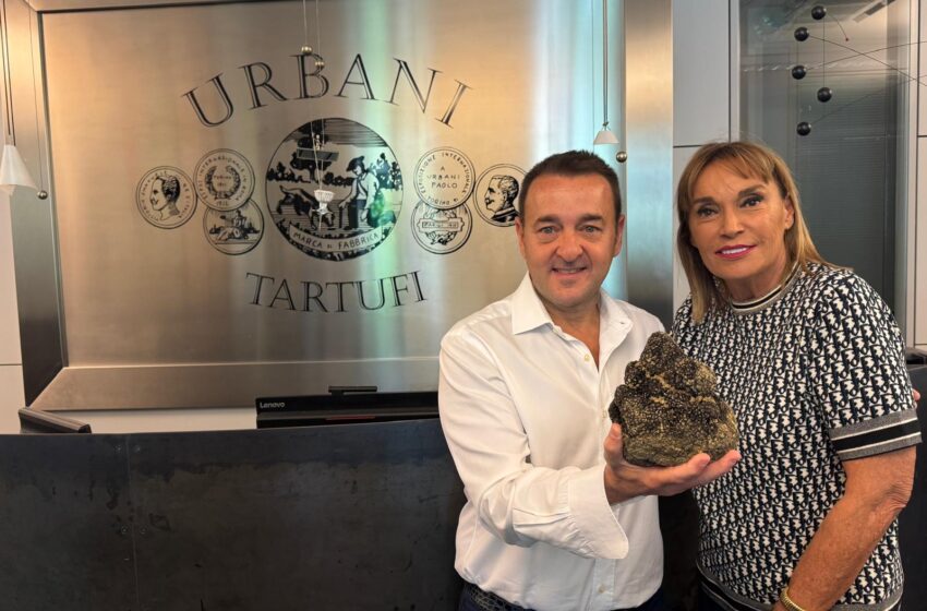 Tartufo umbro a New York