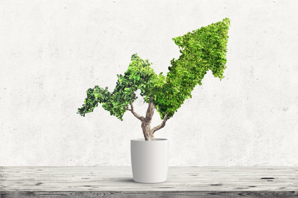ITALIA ECONOMY - Comunicare la sostenibilità: 3 consigli per le PMI