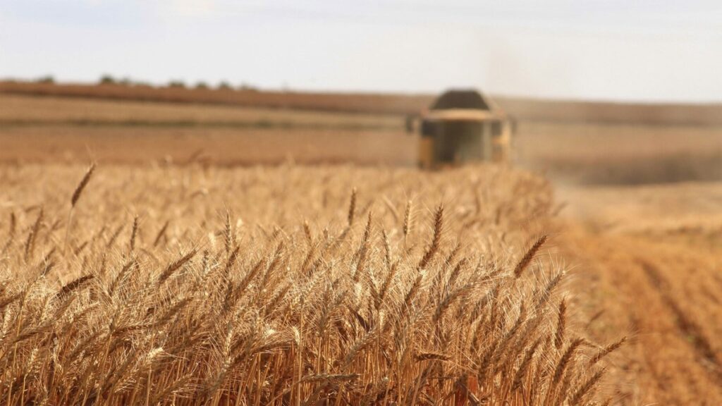 ITALIA ECONOMY - Agrifood: 5 motivi per cui investire